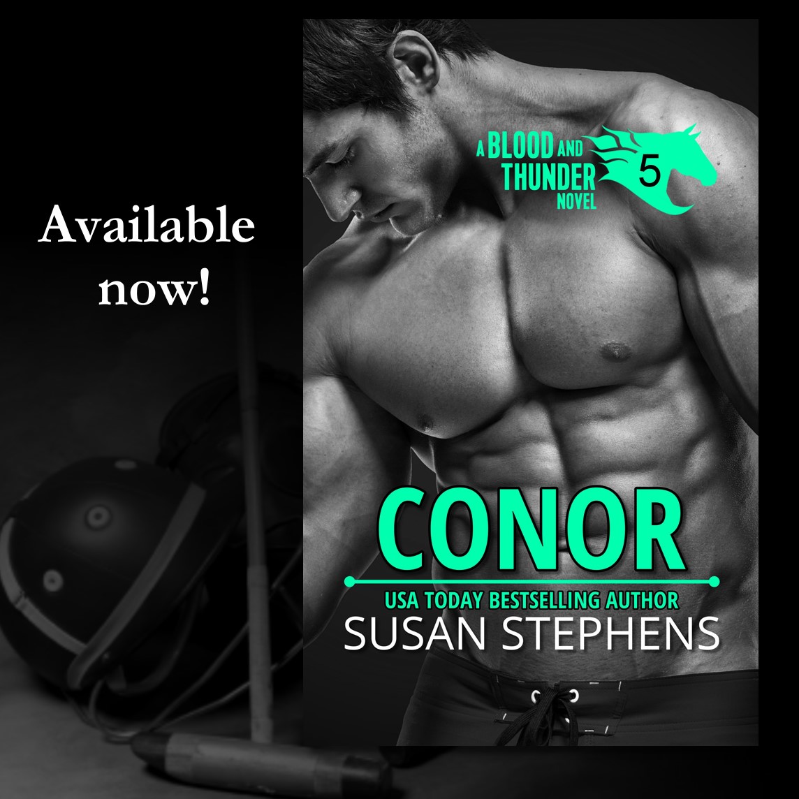 Susan Stephens' Conor Blood and Thunder book 5